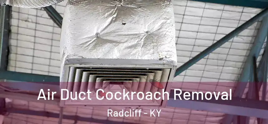  Air Duct Cockroach Removal Radcliff - KY