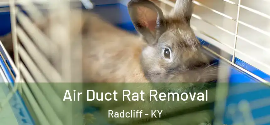  Air Duct Rat Removal Radcliff - KY