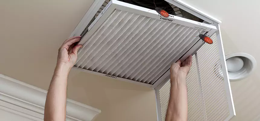 Preventive Cockroach-Proofing for Ducts in Radcliff