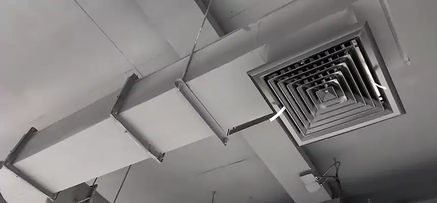 Our Pest Removal From Ducts Services in Radcliff, KY