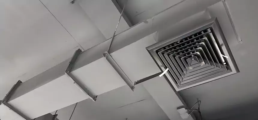 Our Rodent Droppings In Vents Services in Radcliff, KY