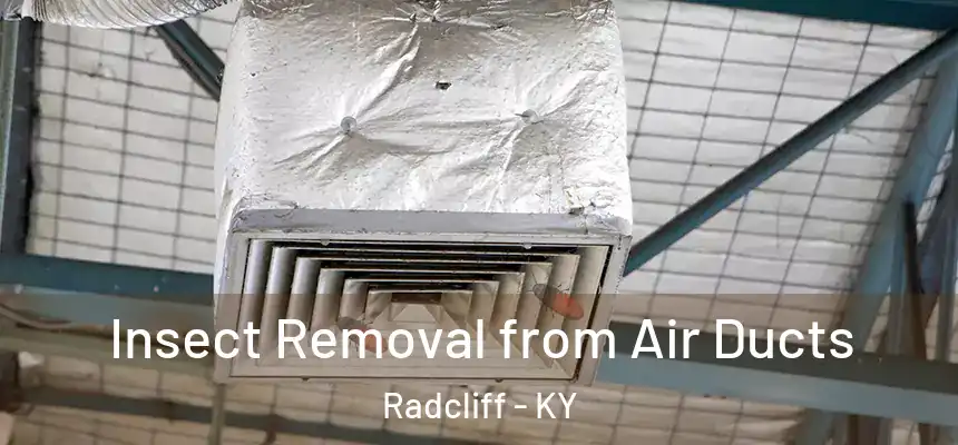  Insect Removal from Air Ducts Radcliff - KY