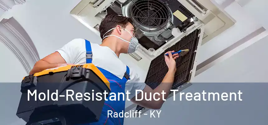  Mold-Resistant Duct Treatment Radcliff - KY