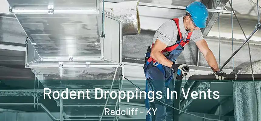  Rodent Droppings In Vents Radcliff - KY