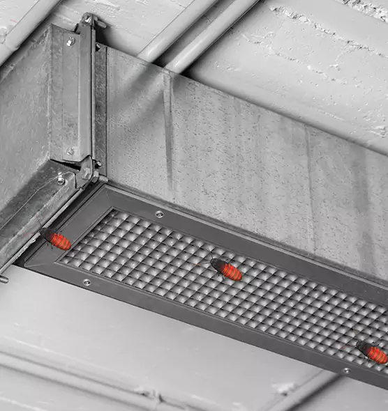About Air Duct Cockroach Removal in Radcliff, KY