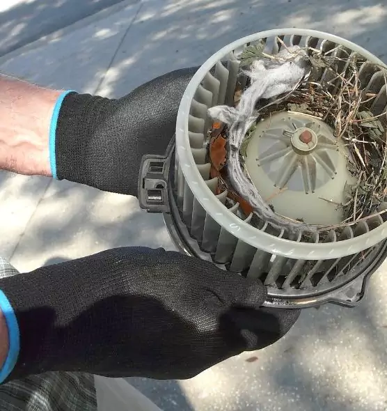 About Air Duct Mice Removal in Radcliff, KY