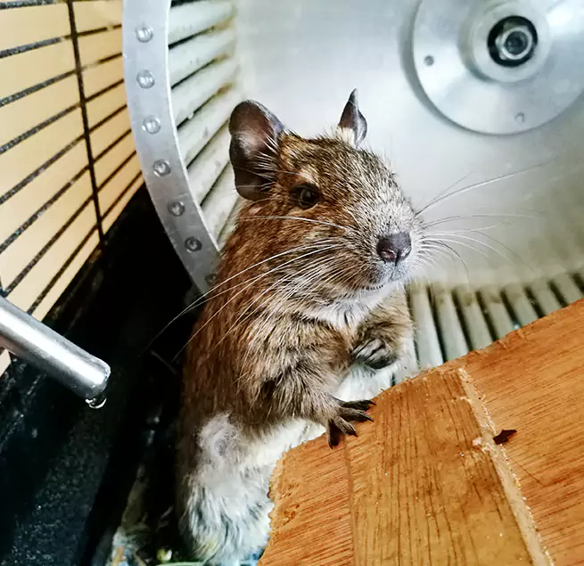 Why Homeowners & Businesses Trust Us Radcliff, KY